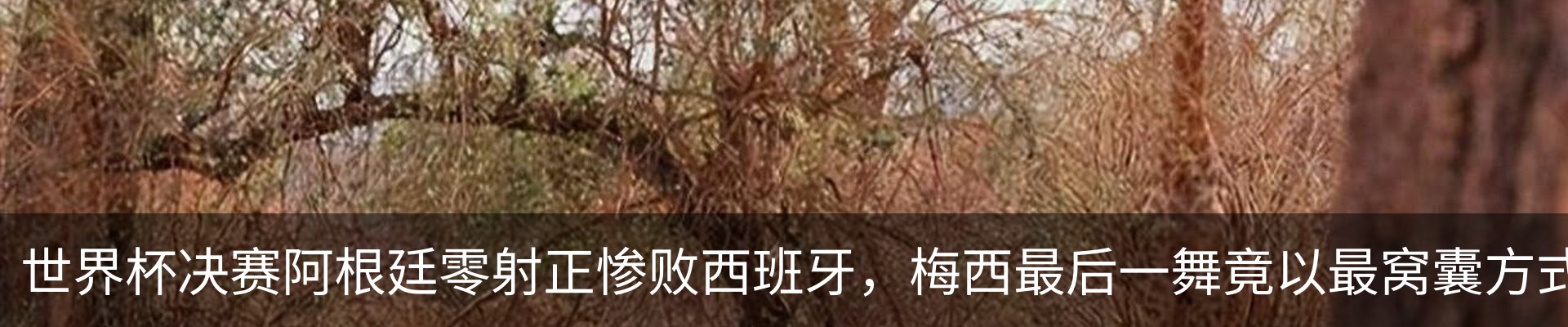 资讯动态